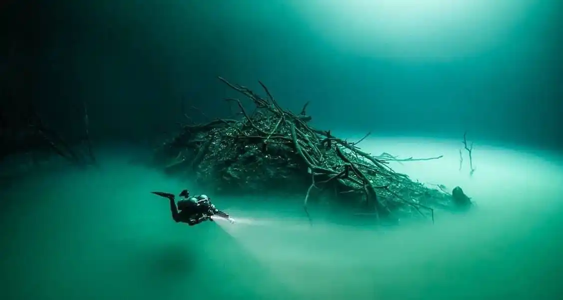 Image from GRUPO ALPHA: En el cenote Angelita, en Tulum, México, parece haber un río bajo el a...