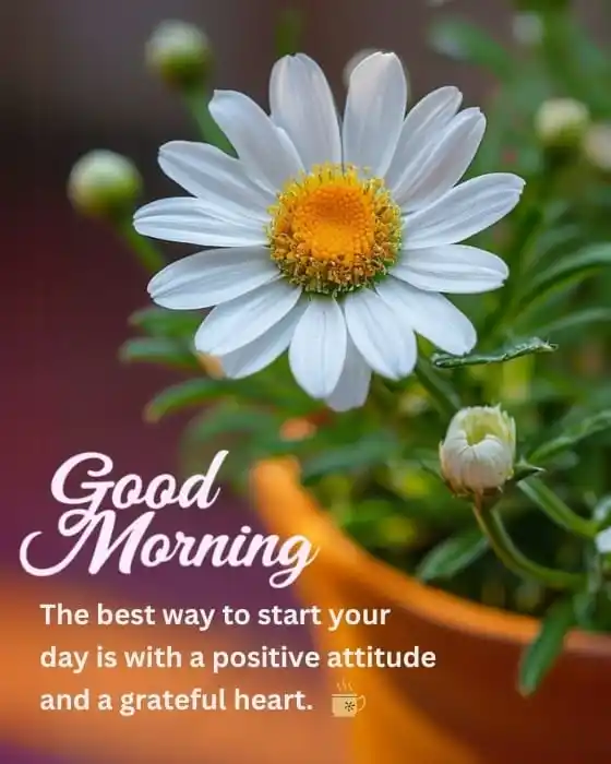 Image from HK unfiltered💫: *Good Morning! Let your heart bloom with peace and positivity. 🌸🧘♀️...