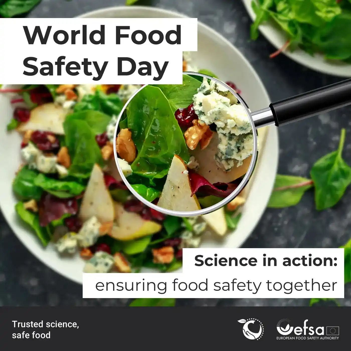 European Food Safety Authority (EFSA) post