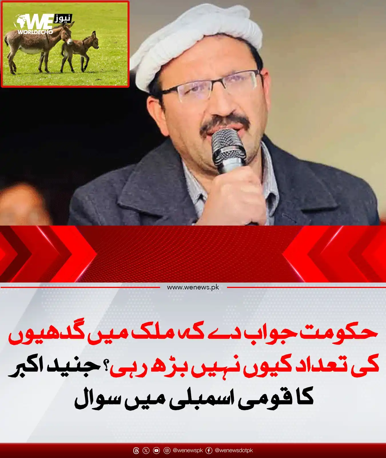Image from WE News: خبر کی تفصیل: https://wenews.pk/news/322442/...