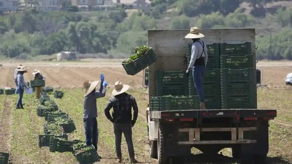 Image from Periódico AM 📰 Última Hora : *Más de 3 mil migrantes regresan a Guanajuato, pero la mayoría de form...