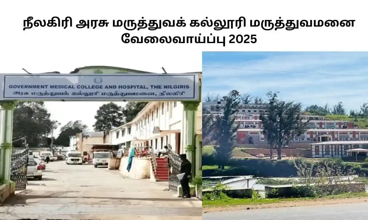 Image from Job Updates Tamil: நீலகிரி அரசு மருத்துவக் கல்லூரி மருத்துவமனை வேலைவாய்ப்பு 2025! கல்வி த...