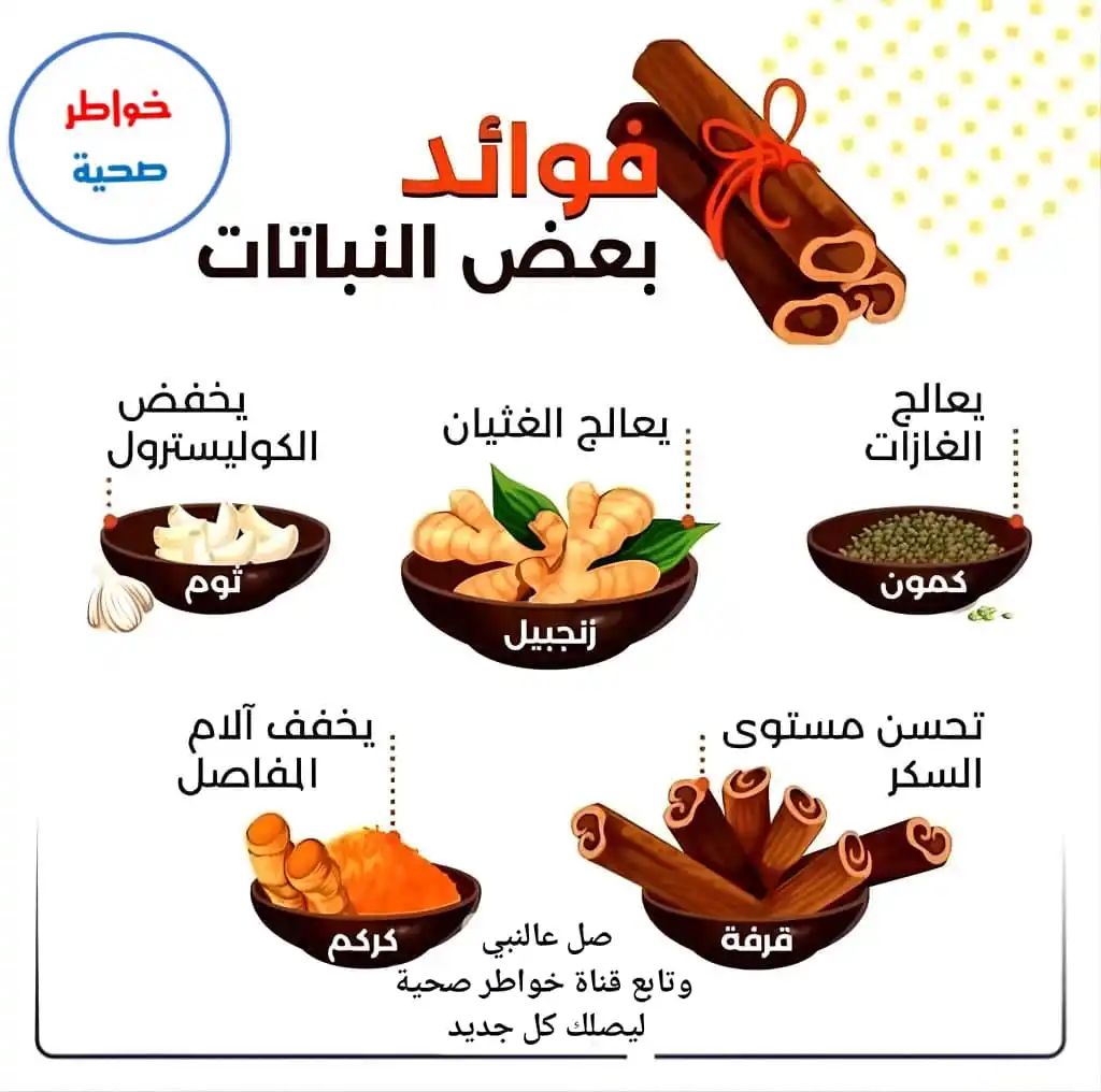 Image from خواطر صحية، طبية، نصائح، صحه، طب، اليمن، عدن، اليمن،صور، استشارات، اقتباسات، نكت،ch: *شكــراً من القلب ♥️* *لكل الأعضـاء المتفاعلـين*💟 ✌️ ─────⊹⊱✫⊰⊹───── ...