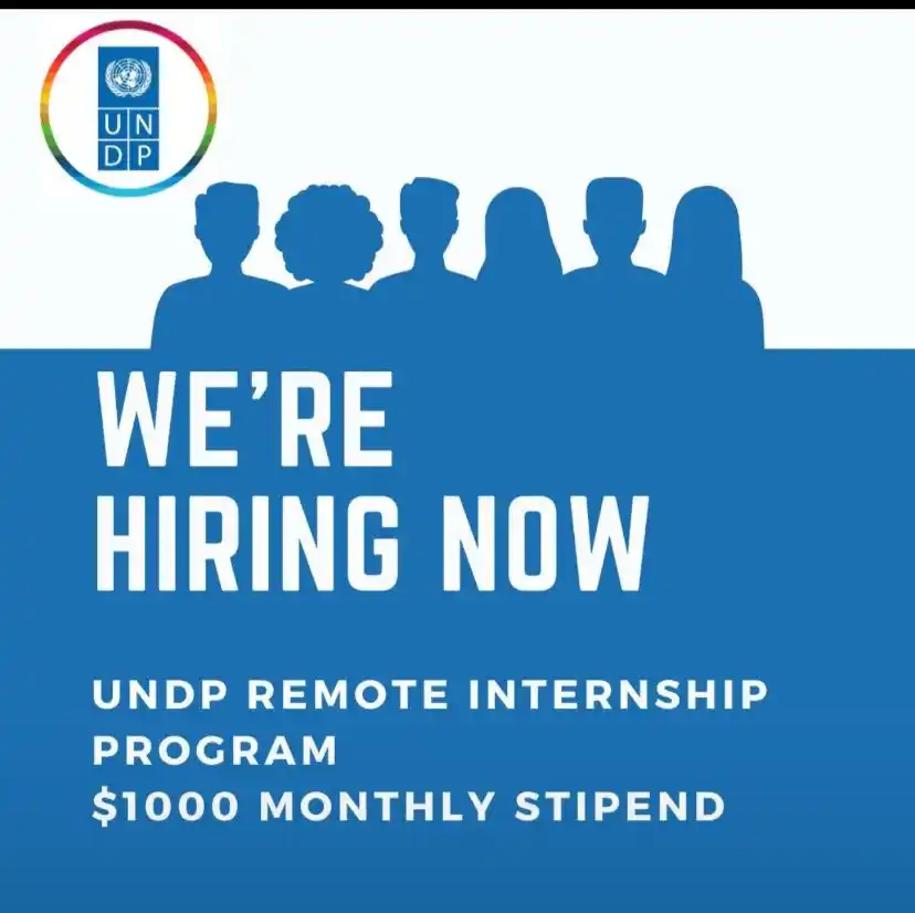 Image from Africa Jobs Gate: 🌍UNDP (Remote)Internship Programme 🚨    📝 UNDP hiring Position: “Re...