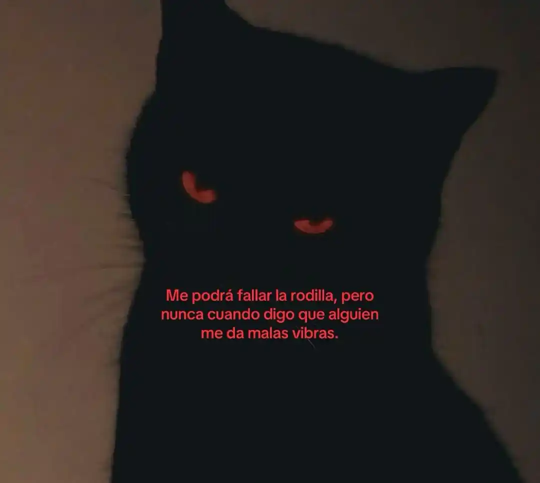 Image from ★𝖊𝖓 𝖒𝖎 𝖕𝖑𝖆𝖓𝖊𝖙𝖆🕷😍!: upa ....