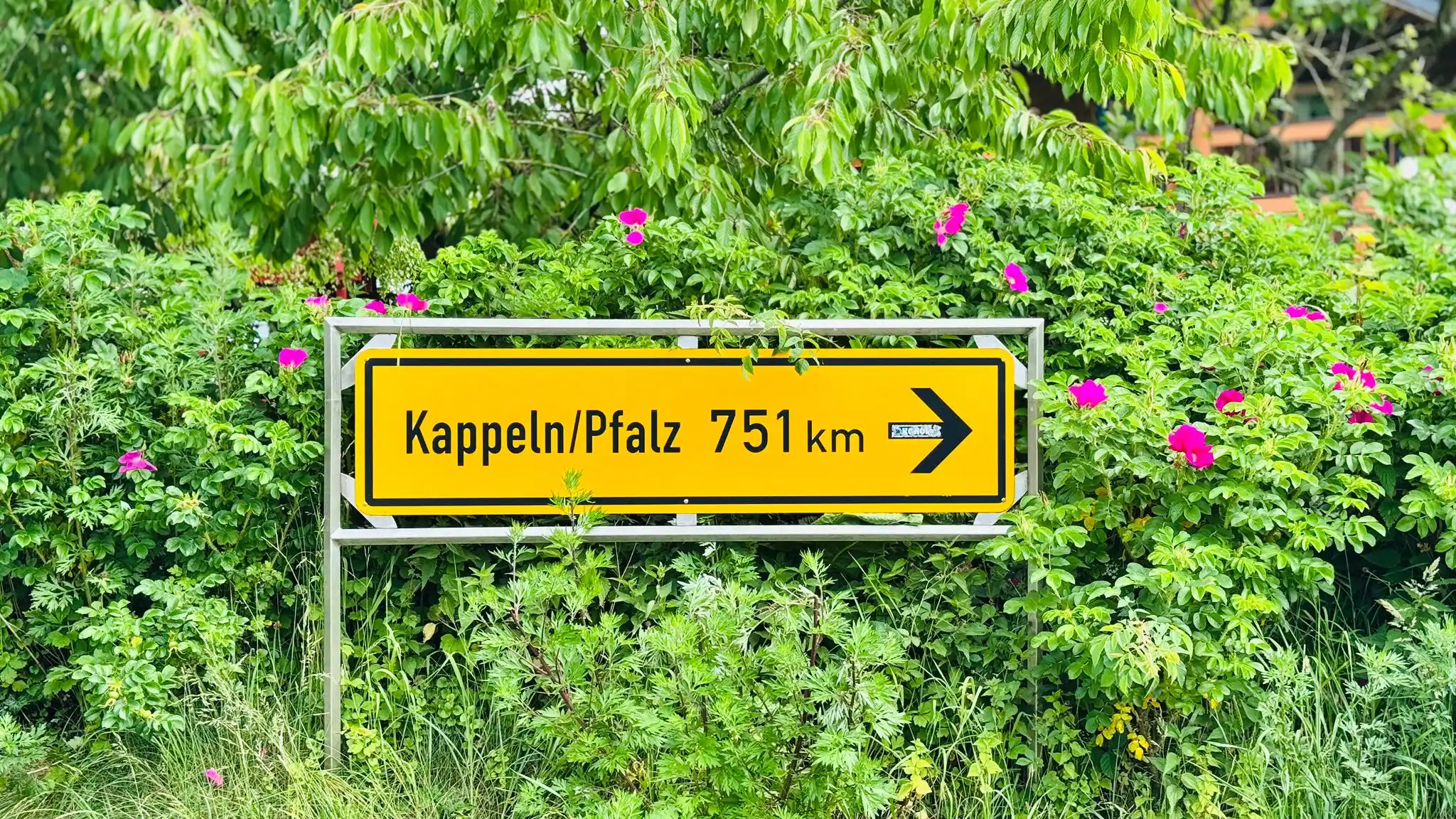 Image from Nie RADlos: Vielleicht werde ich auf dem Weg vom Bodensee nach Hause, dort mal vor...