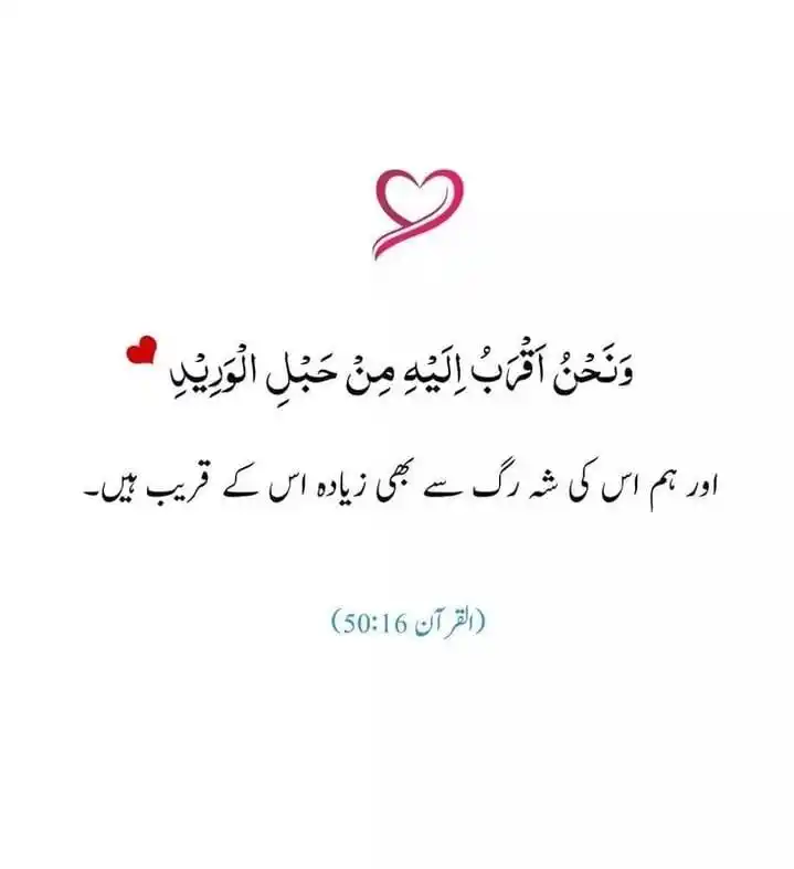 Image from زاد الخیر آفیشل: اللہ پاک کیسے اپنے بندے کو ایک بہترین تسلی دیتا ہے کہ ہم ہر وقت اس کے ...