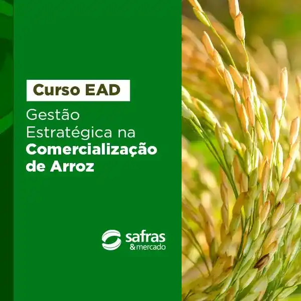 Image from Safras & Mercado: Desenvolva suas habilidades na Comercialização de Arroz. 🌾 Aprofunde...