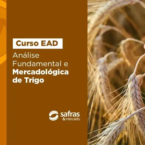 Image from Safras & Mercado: Entenda os desafios de oferta e demanda para maximizar seus lucros no ...