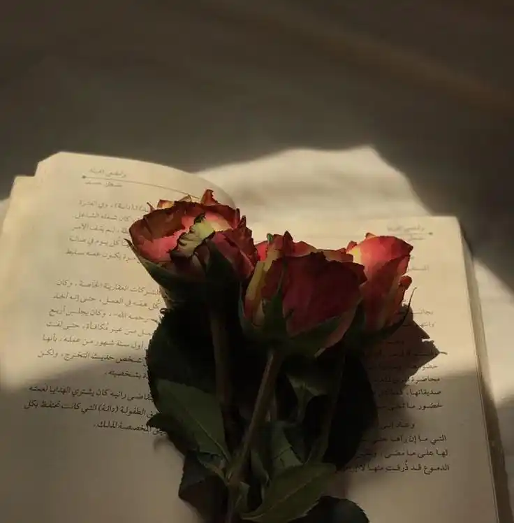 Image from Story Arabic`: *فَجْأَةً يُفْتَحُ لَكَ الطَّرِيقُ، فَجْأَةً تَأْتِيْكَ الْأَخْبَارُ ا...