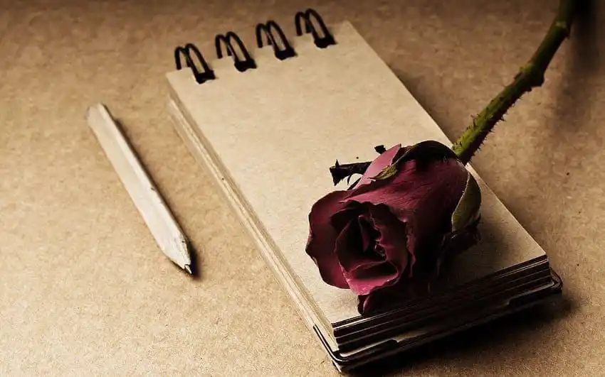 Image from .℘ ᴀşᴋɪ ɪ̇ꜱʟᴀᴍ: _Hayattaki sevgilerin hepsi, ayrılığa gebedir..._ _Asıl hayat olan ahi...