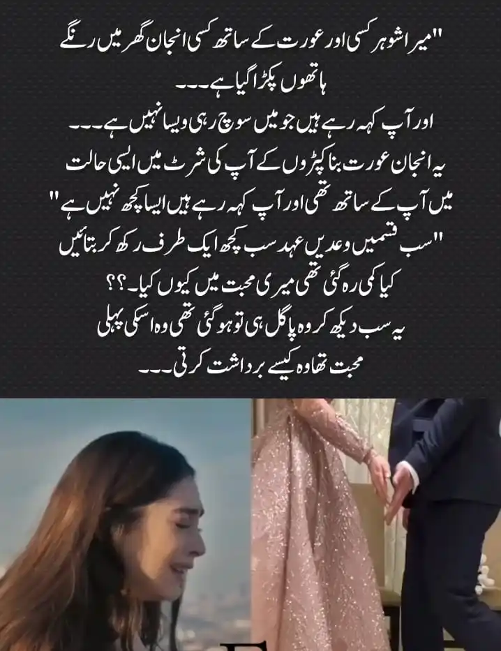 Image from Fiction Studio Alliance: https://readelle.com/novels/humsafar-by-sidra-sheikh-readelle50019/...