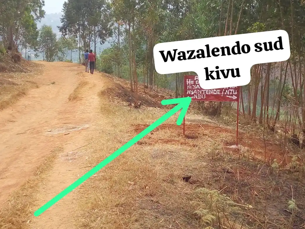 Image from WAZALENDO LA PATRIE OU LA MORT 2💪💪 OFFICIEL: LES WAZALENDOS SONT PARTOUT À NYATENDE 🔥🔥 Bukavu 🔥🔥çava chauffe j...
