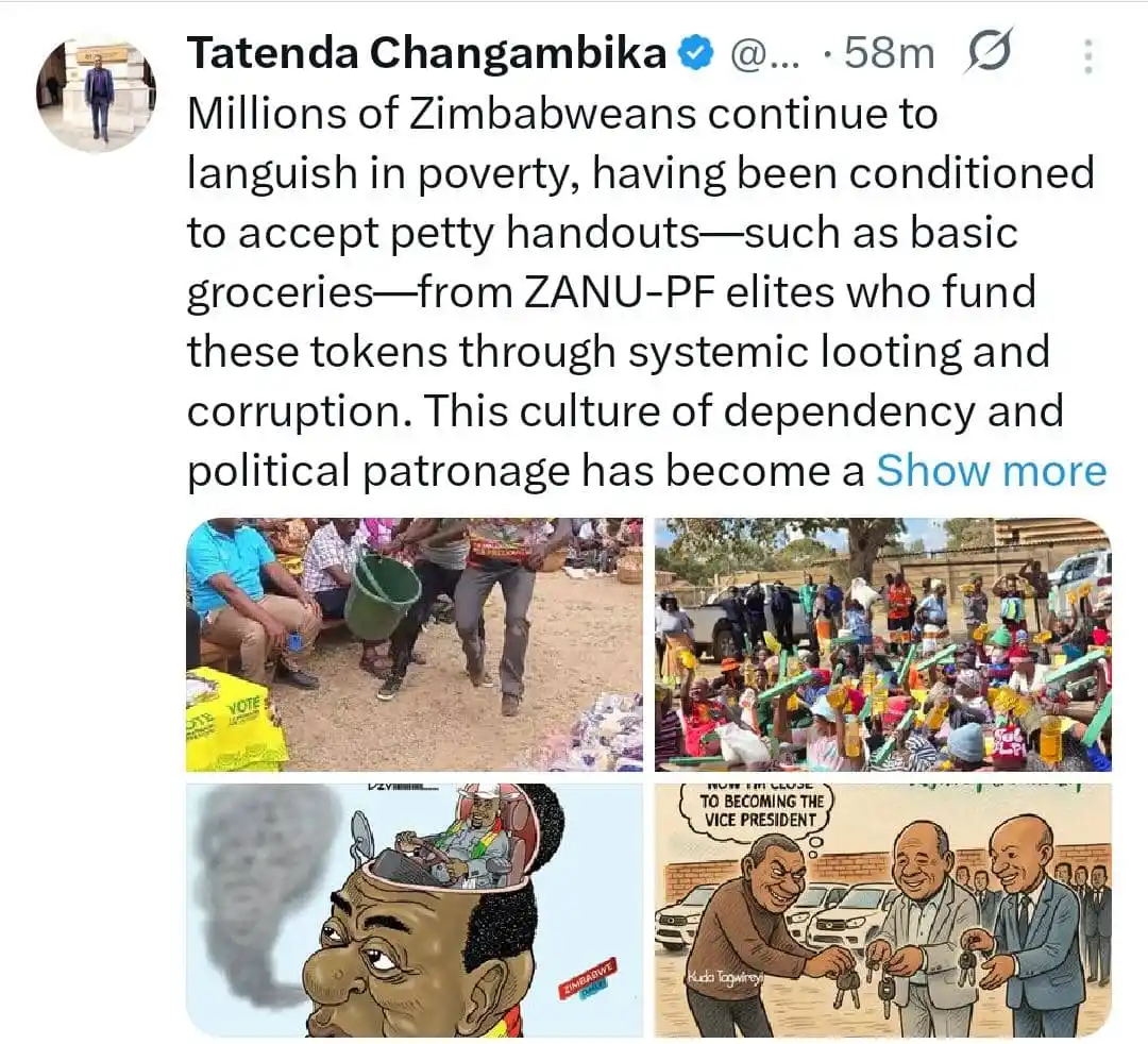 Image from Change Radio : *_Mnangagwa has failed to revive the economy - Tatenda Changambika_*  ...