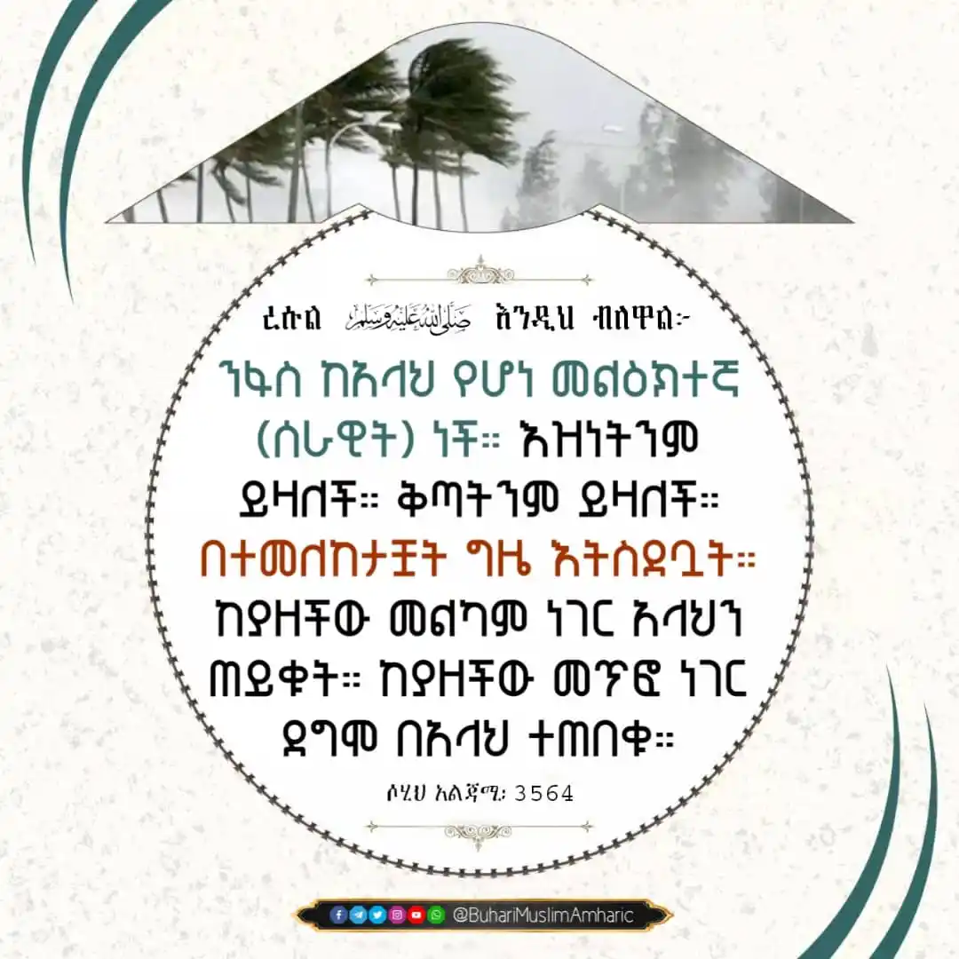 Image from የቡኻሪና ሙስሊም ሐዲሶች በአማርኛ: ንፋስን አትሳደቡ! ረሱል (ﷺ) እንዲህ ብለዋል፦ ﴿الريحُ مِنْ رّوْحِ اللهِ، تأتِي بالر...