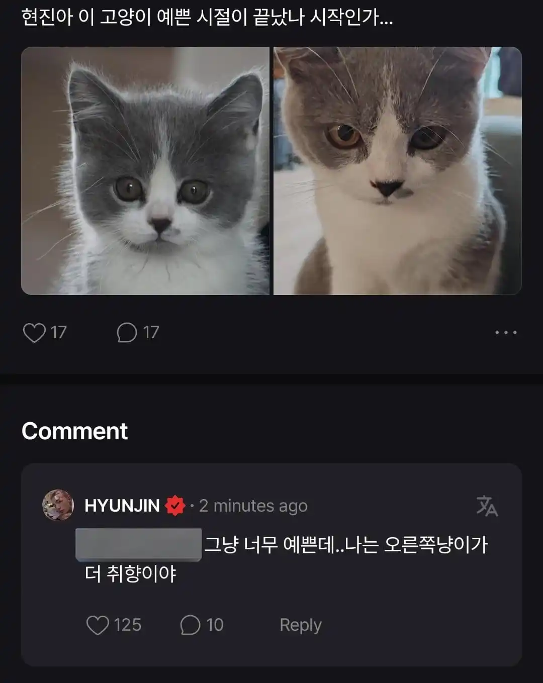 Image from STRAY KIDS PERÚ  🇵🇪  INFO Y MÁS: [──🇵🇪Stray Kids Perú🇵🇪──]  X: Hyunjin-ah, será que esta etapa herm...