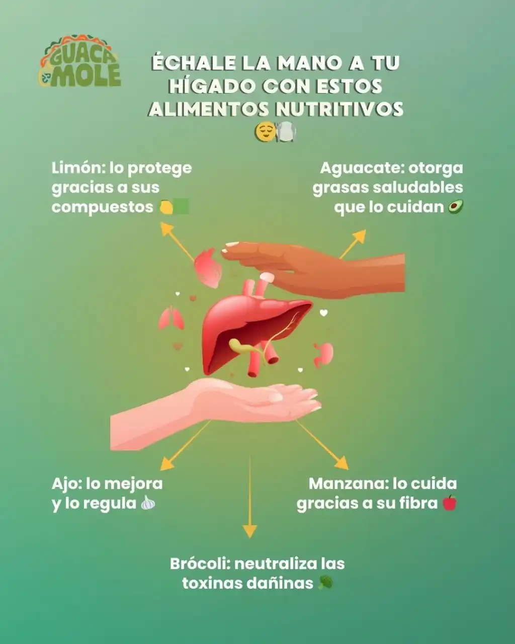 Image from Tips para el hogar: ¿Sabían que ciertos alimentos son super aliados para su hígado? 🥑🍎 A...