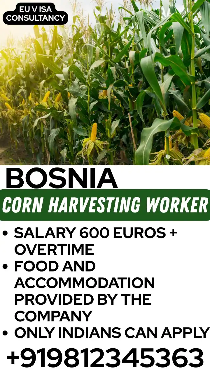 Image from EU VISA CONSULTANCY: SD Bosnia 3.90 lakhs without Ticket and without VFS   Payment Process ...