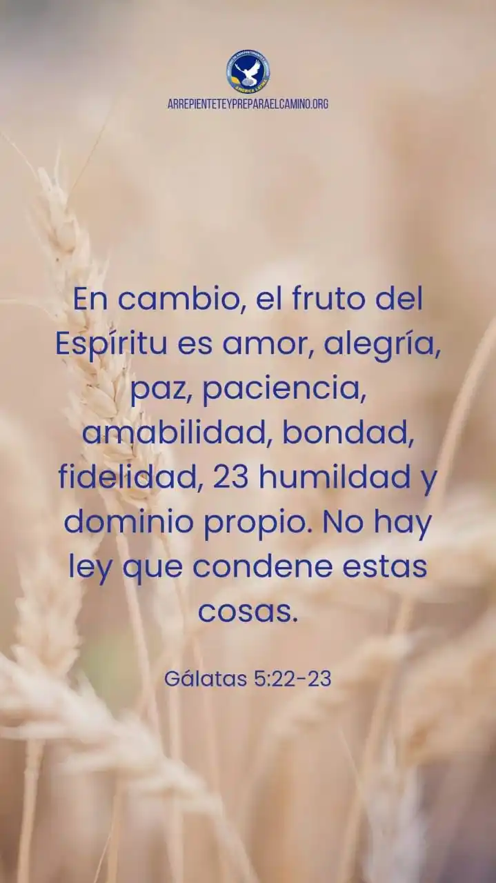 Image from ARREPIÉNTETE VENEZUELA 🇻🇪 CANAL OFICIAL: *¡Shalom, pueblo precioso!*  📍*Sólo a través del Espíritu Santo es po...