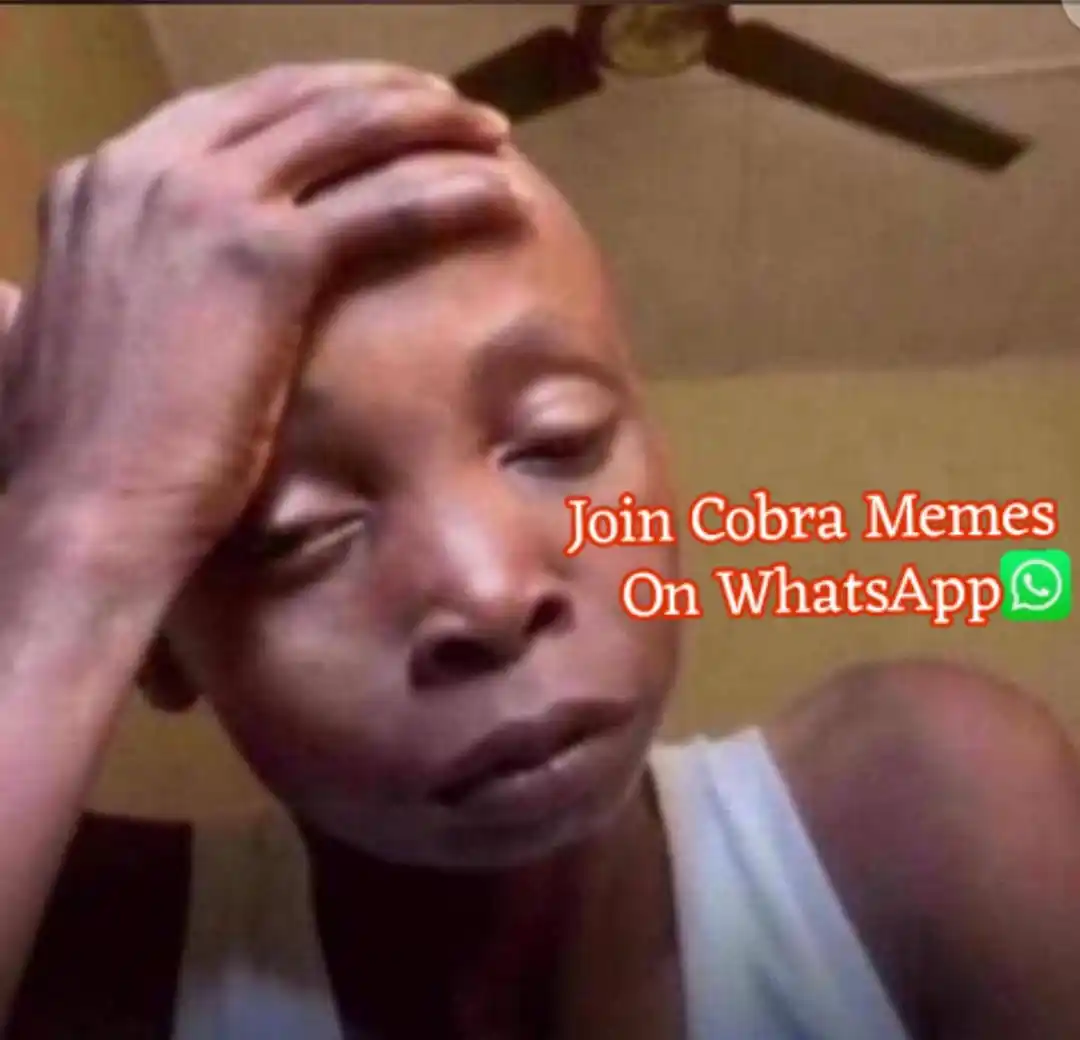 Cobra Memes post