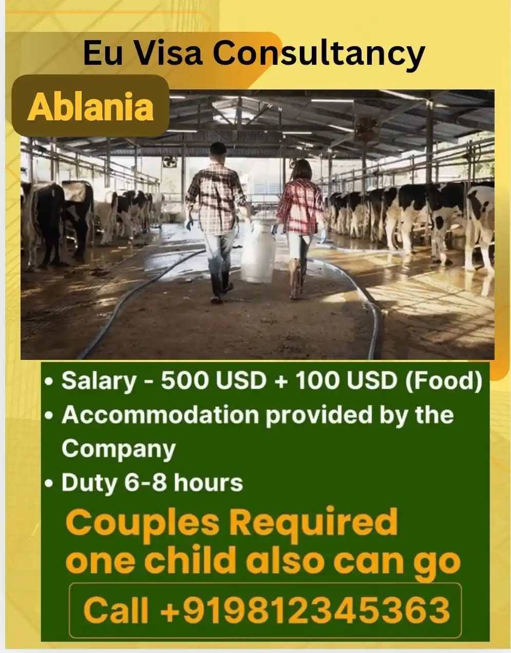 EU VISA CONSULTANCY post