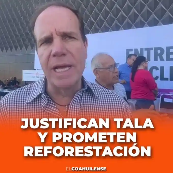 Image from El Coahuilense Noticias: Tras la tala de árboles realizada por el proyecto Sistema Vial Abastos...