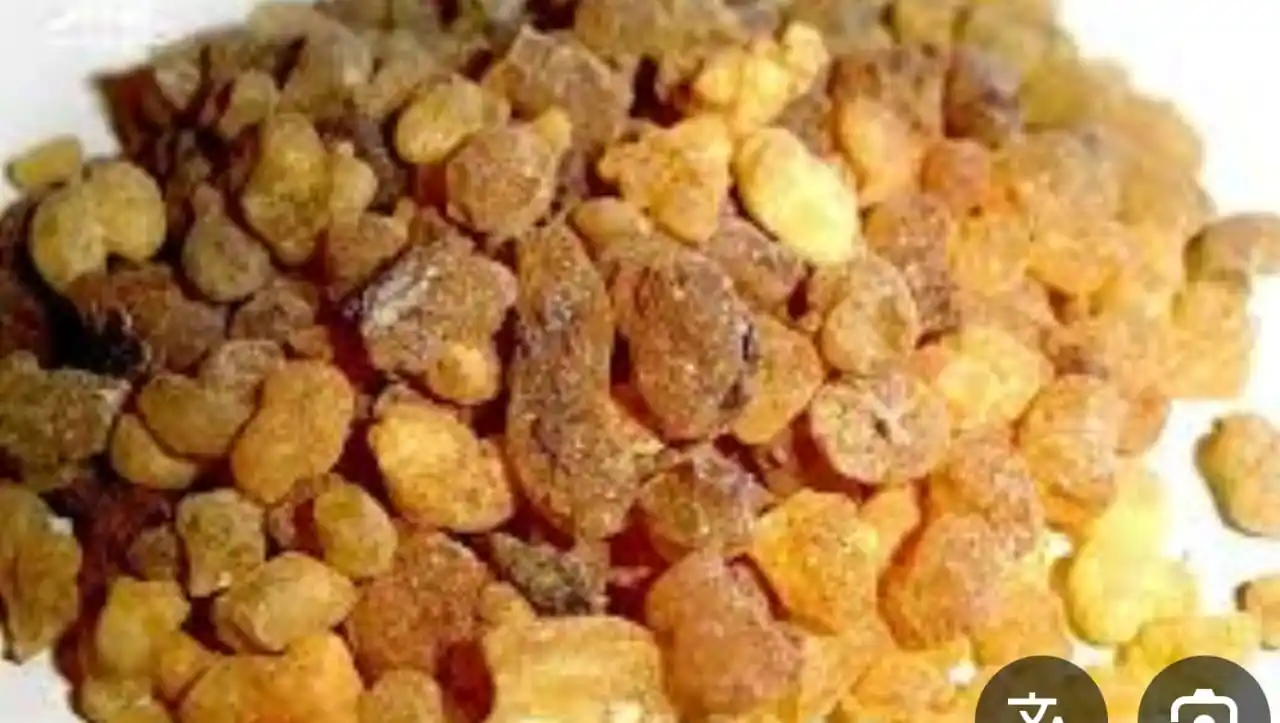 Image from الطب الأصيل: استعمالات الحلتيت   مستخلص من نباتات الفيرولا ويستخدم في المطبخ الهندي...