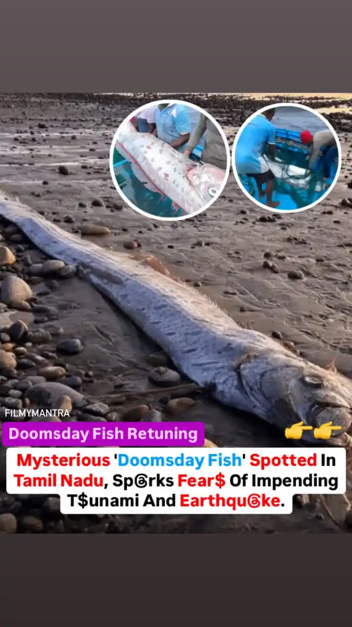 Image from Filmymantra: Doomsday Fish Appears in Tamil Nadu, Sparks Fear of Natural Dis@ster A...