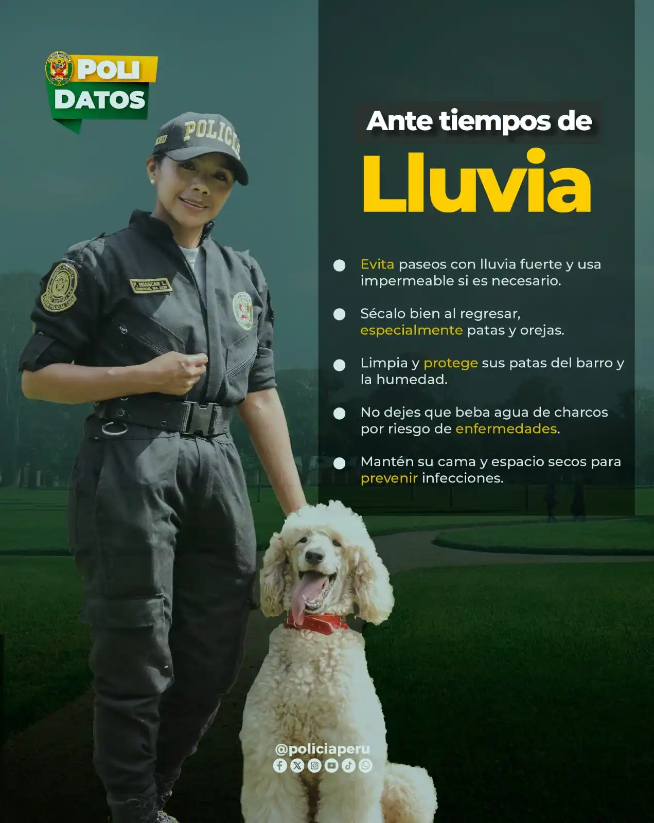 Image from Policía Nacional del Perú: *🐾🌧️ Durante la temporada de lluvias, nuestras mascotas también nece...