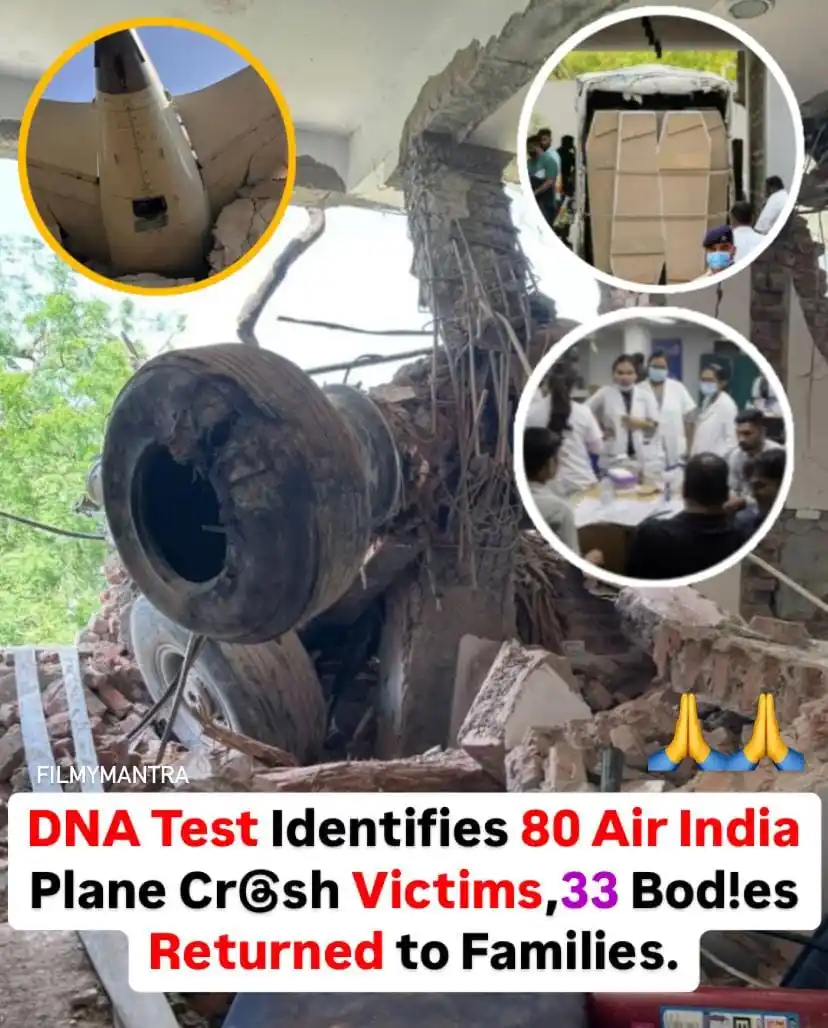 Image from Filmymantra: Forensic teams in Ahmedabad have identified 80 victims of the June 12 ...