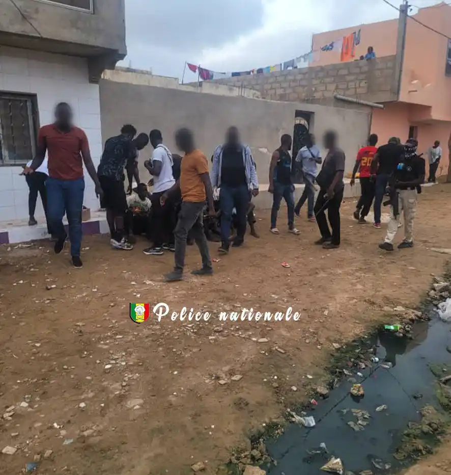 Image from 🇸🇳BESTWORLD 🇸🇳: La Brigade régionale des Stupéfiants de Dakar, de l’OCRTIS, a procédé,...