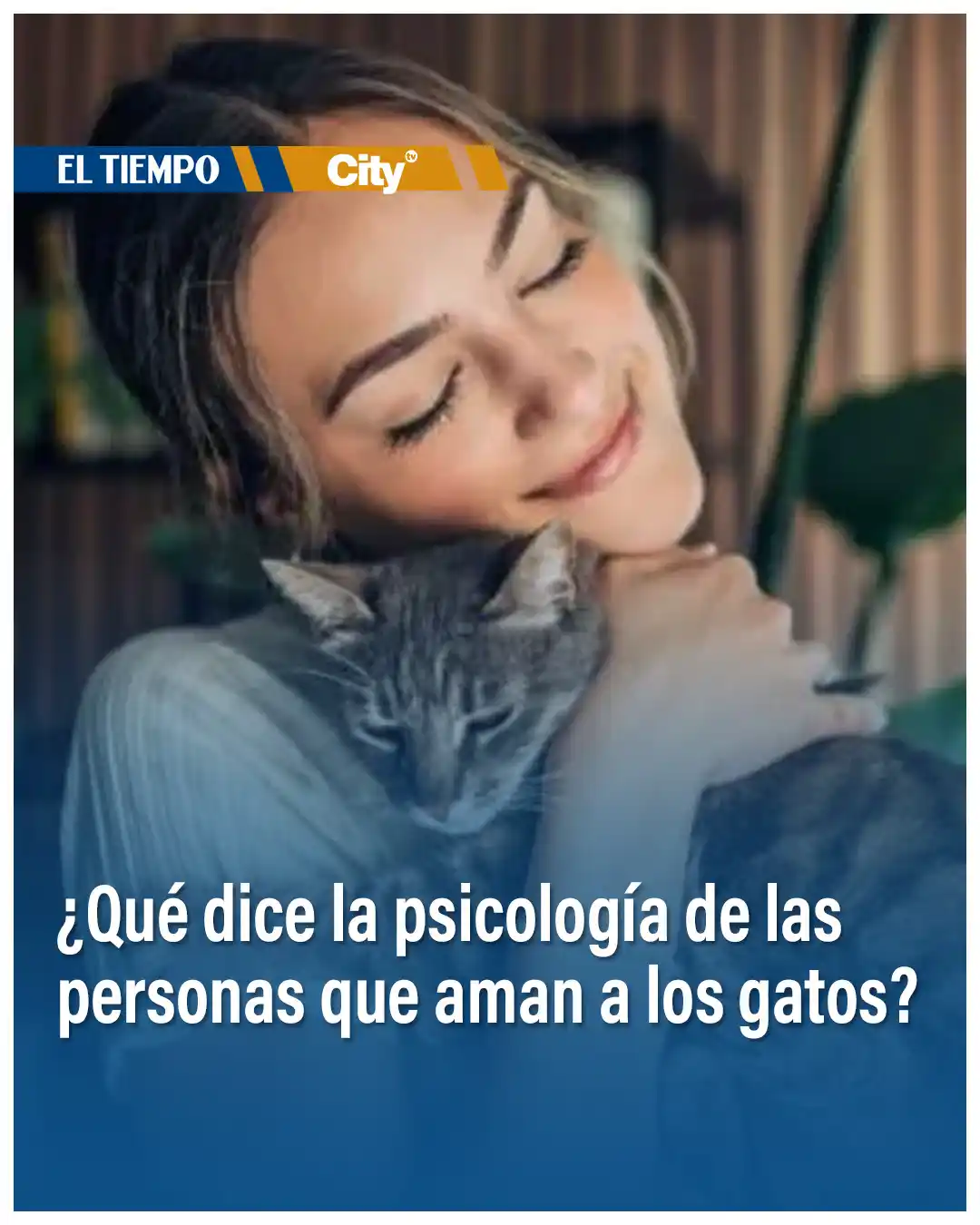 Image from Tendencias EL TIEMPO 👽😱❤💔💣: 🐱 La psicología revela que la conexión entre humanos y gatos va más a...