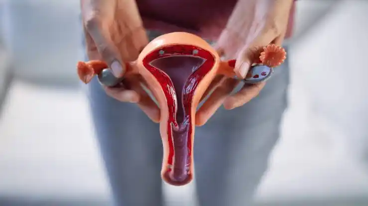 Image from 𝗙𝗘𝗠𝗖𝗟𝗜𝗡𝗜𝗖 𝗛𝗘𝗔𝗟𝗧𝗛𝗖𝗔𝗥𝗘 𝗦𝗘𝗥𝗩𝗜𝗖𝗘, 𝗧𝗔𝗡𝗭𝗔𝗡𝗜𝗔: Pelvic Inflammatory Disease ni maambukizi kwenye viungo vya uzazi vya ...
