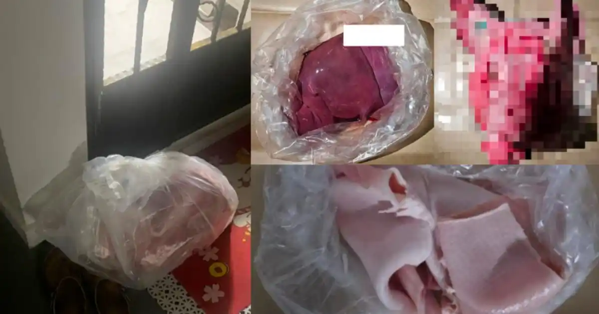 Image from Goody Feed SG: *Police Arrest 42Y/O Man for Loanshark Harassment After Pig Head Found...