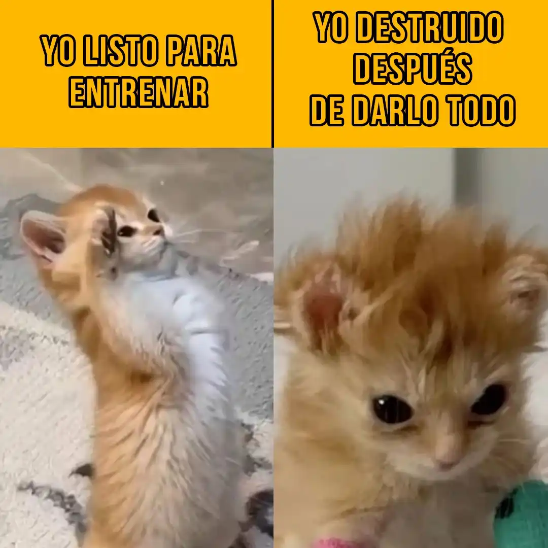 Image from Rebaño Pasión: Se sufrió, pero se logró 💪. Para que superes tus retos personales, e...