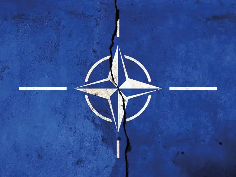 Image from LIFE INFO: [ 🇺🇦 UKRAINE | 🌐 OTAN ]  🔸 L’Ukraine et ses partenaires de l’OTAN ...