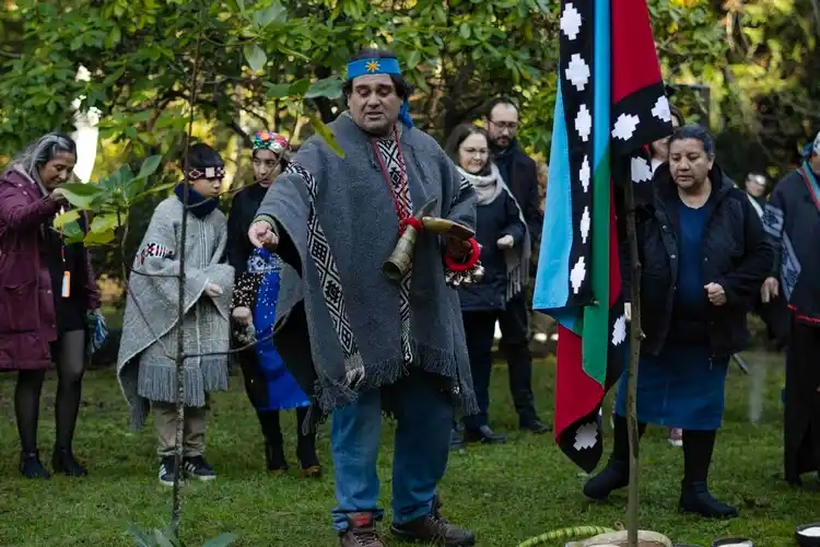 Image from Chillan OnLine: We Tripantu; Por primera vez se reunieron las comunidades indígenas de...