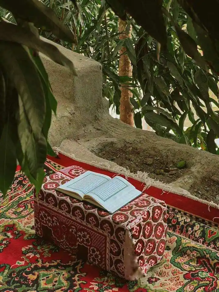 Image from منوعات سلفية🌱🌸: 🍃 القرآن .. شفاء وهدى و رحمة ﴿يا أيها الناس قد جاءتكم موعظة من ربك...