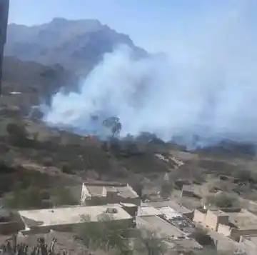 Image from رواها360 الإخبارية: الشبكة اليمنية للحقوق والحريات تدين إحراق الحوثيين مزارع المواطنين في ...