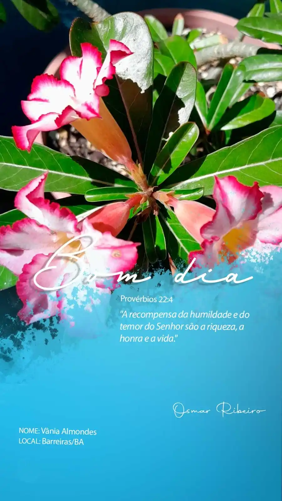 Image from Fala Barreiras, Portal de Notícias: *Bom dia!* _Nesta segunda-feira, comece sua semana com humildade e rev...