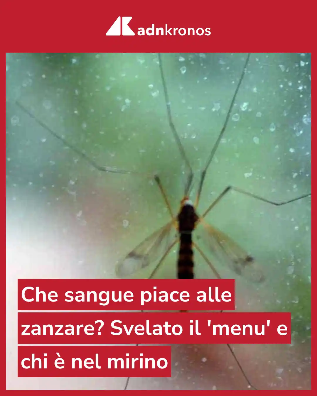Image from Adnkronos: Esseri umani, uccelli e persino anfibi: ecco cosa c'è nel menu dell'in...