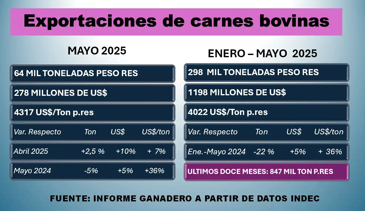 Image from Informe Ganadero: Exportaciones ligero aumento en mayo. Mejora en el precio medio. Fuert...
