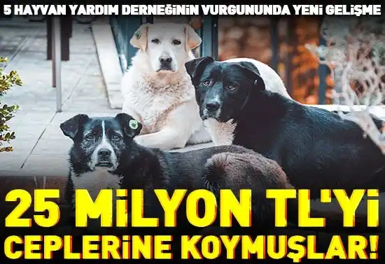 Image from CNN TÜRK: Hayvanseverlerin 25 milyon TL'lik bağışını zimmete geçiren 10 şüpheli ...