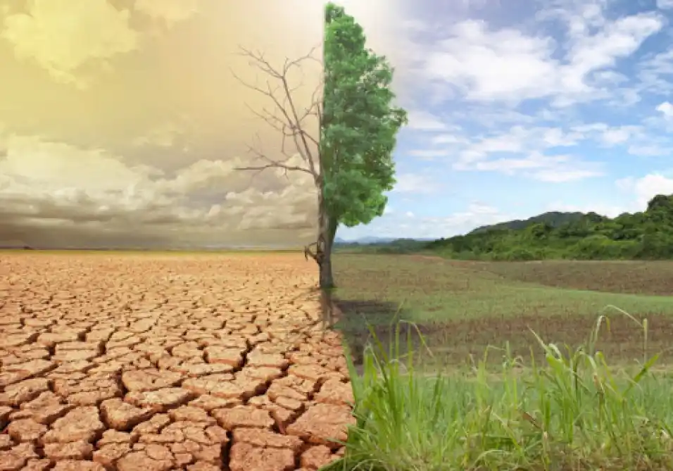 Image from Sistema de Alerta Temprana #SAT: Hoy, 17 de Junio, Día Mundial de Lucha contra la Desertificación y la...