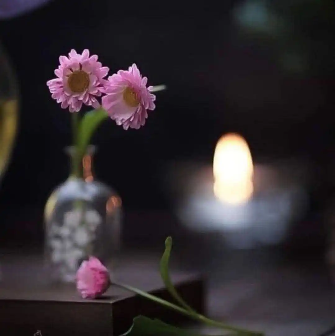 Image from منوعات سلفية🌱🌸: هي تختارُ زوجًا بلا خُلقٍ أو دينٍ، ثم تشكُو سوء معاملة الرّجالِ عمومًا...