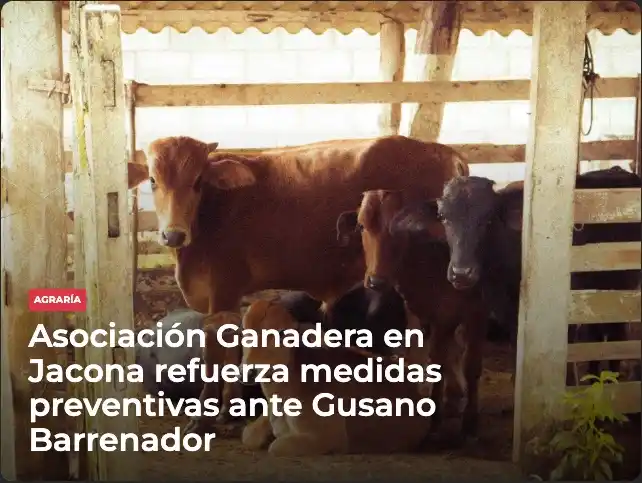 Image from Meganoticias: 🐂🐄🇲🇽 Por la alerta sanitaria por la presencia del gusano barrenado...