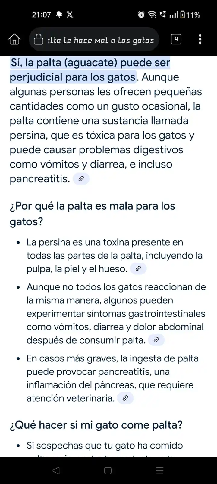 Image from Fine Notices🐦💅✨: PILLE A TARO LAMIENDO LA CASCARA DE LA PALTA EL GATO WN...