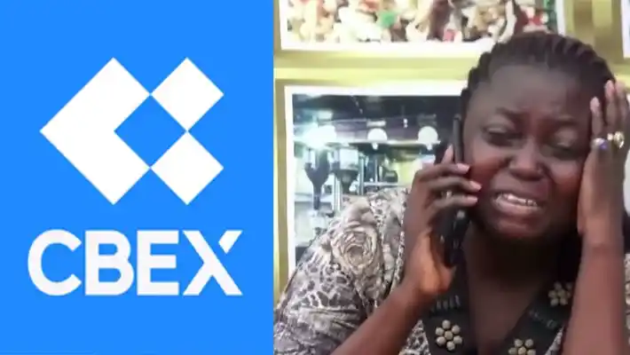 Image from INSIGHT BY OPPY: *🚨 SCAM ALERT TO ALL NIGERIANS 🚨* The infamous CBEX Ponzi scheme is...