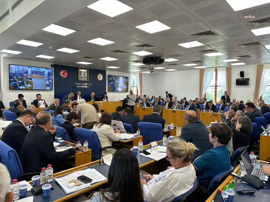 Image from ANKA Haber Ajansı: TBMM’de tartışılan teklifin yasalaşması halinde 24 bin zeytin ağacı ta...