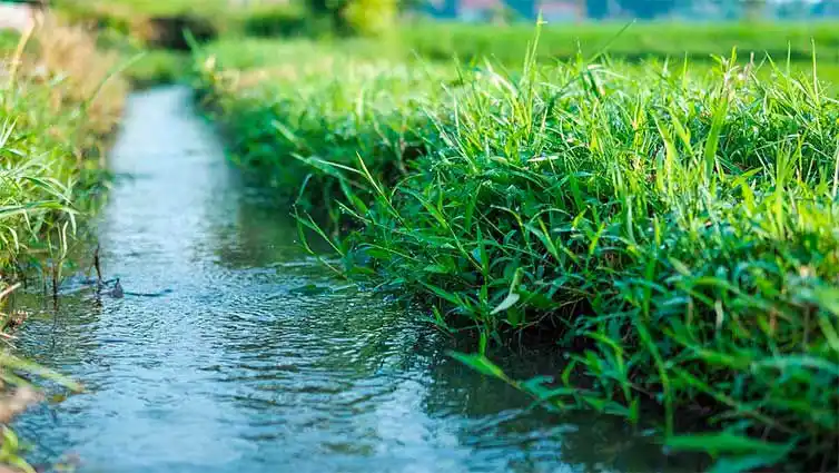 Image from Stadtspiegel Gardelegen : Weil es schon lange zu wenig Regen gibt, führen die Flüsse, Bäche und ...